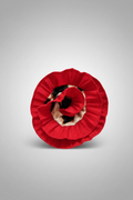 Floralia